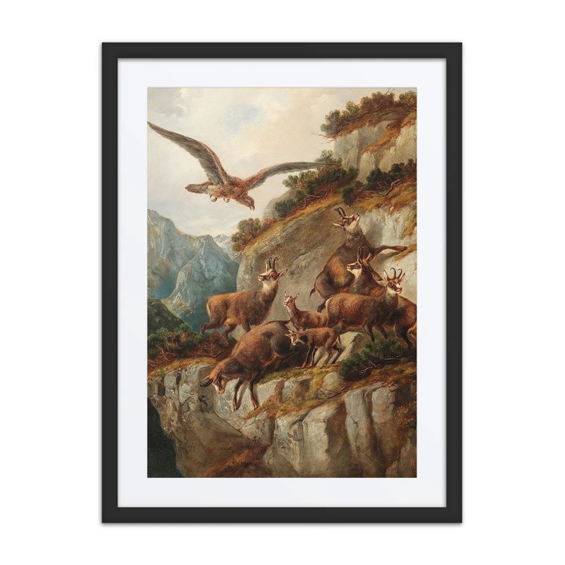 Chamois and Eagle on a Steep Cliff Face