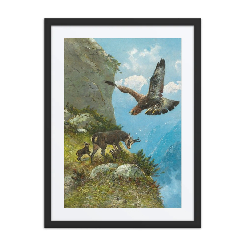 Chamois and Golden Eagle