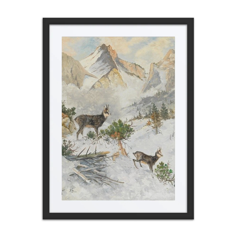 Chamois in a Winter Landscape