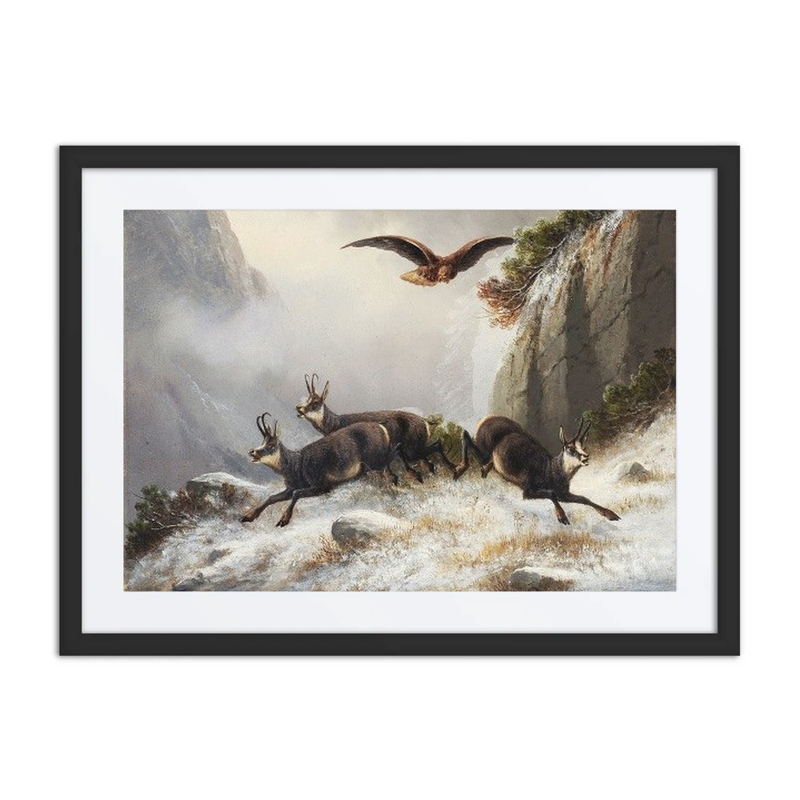 Chamois, Persecuted by an Eagle