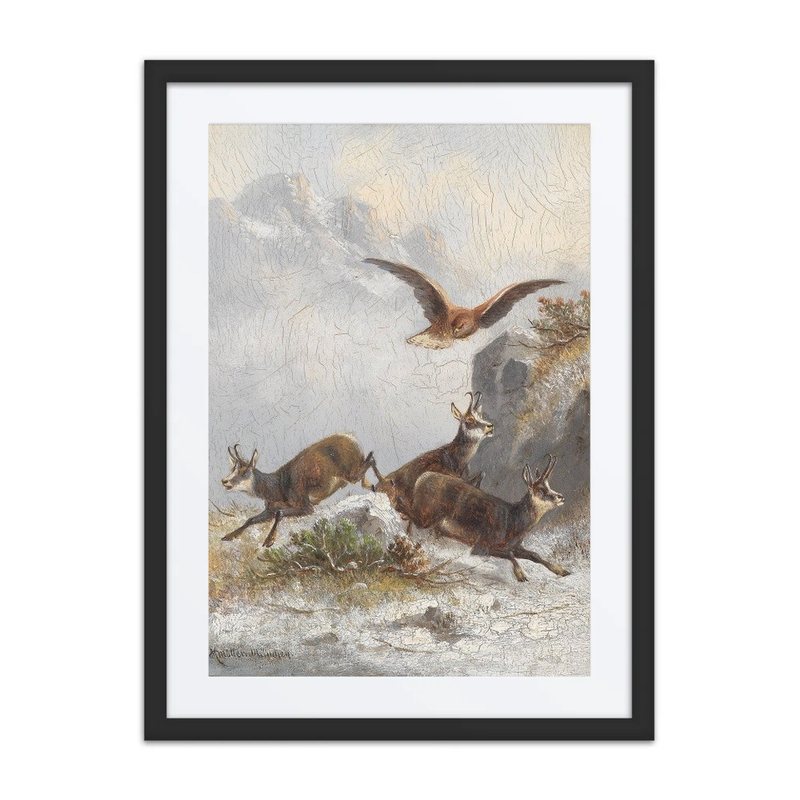 Chamois Pursued by an Eagle