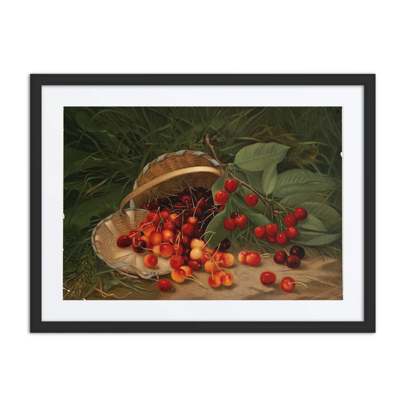 Cherries