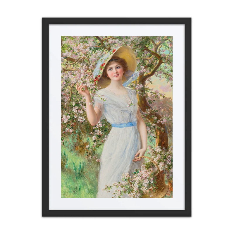 Cherry Blossom