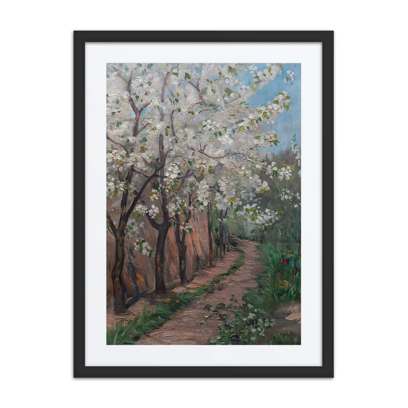 Cherry Blossom Path