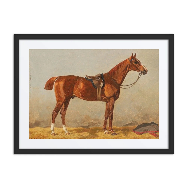 Chestnut Horse in Stable