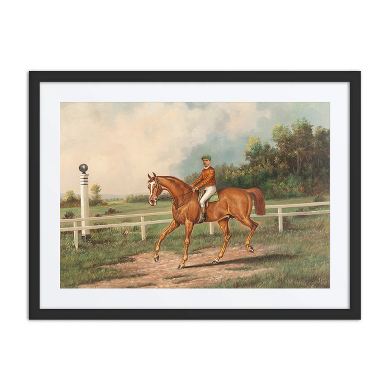 Chestnut Racehorse with Jockey