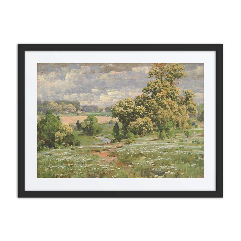 Chestnut Trees in Bloom