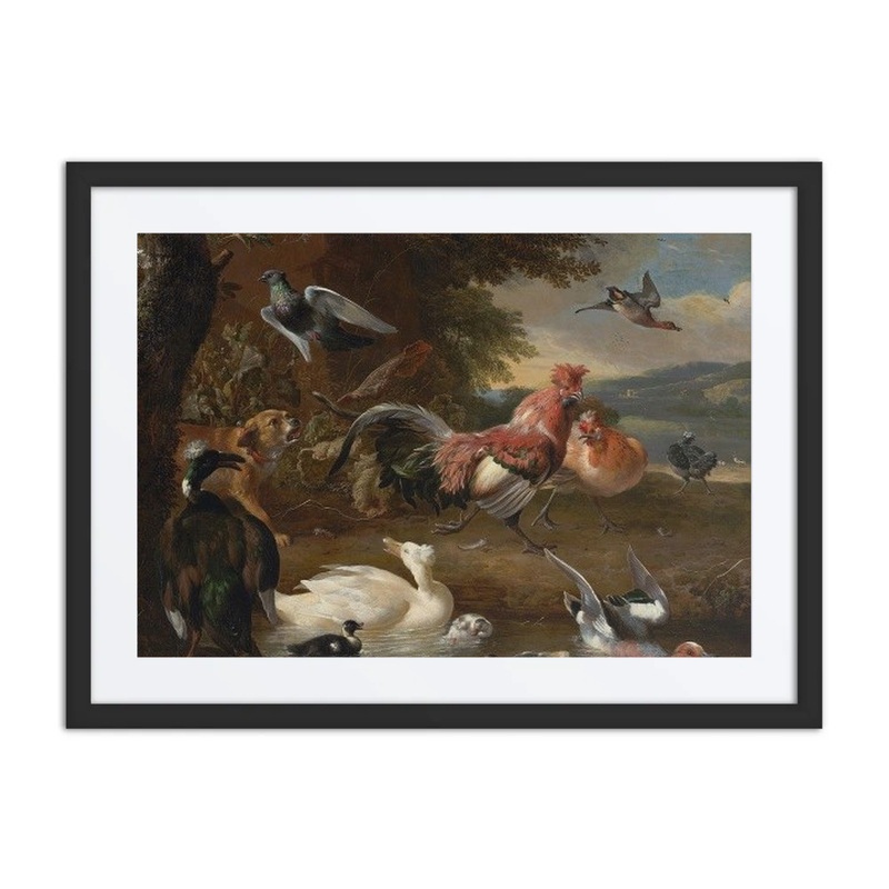 Chickens and Ducks