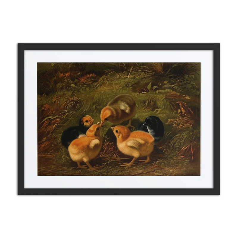 Chickens