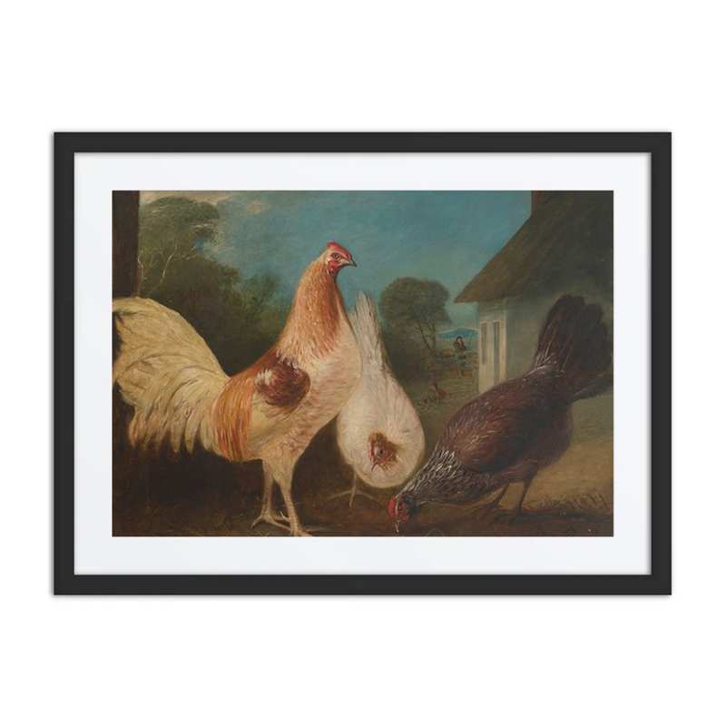 Chickens in a Barnyard
