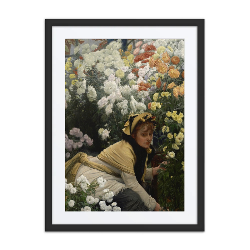 Chrysanthemums