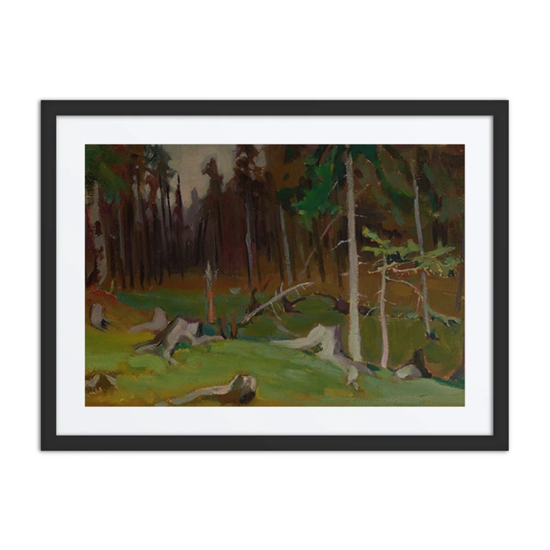 Clearing in a Forest