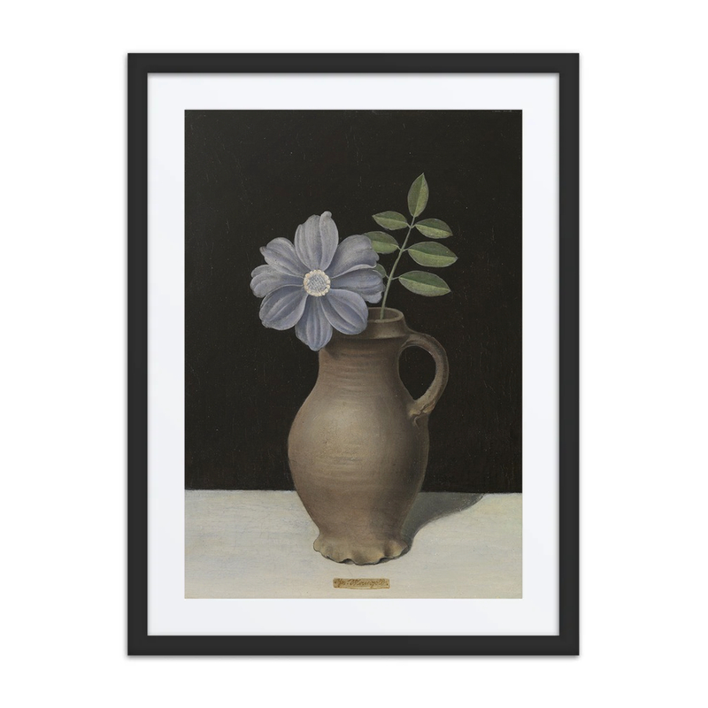 Clematis in a Jug