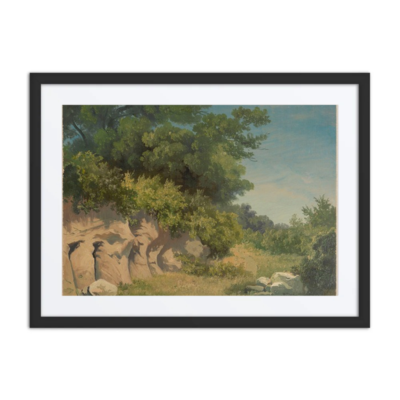 Cliff Overgrown with Trees