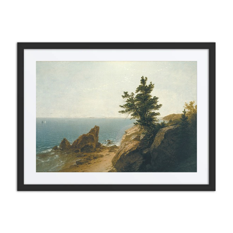 Coast Scene