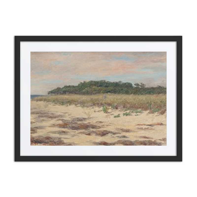 Coastal Scene