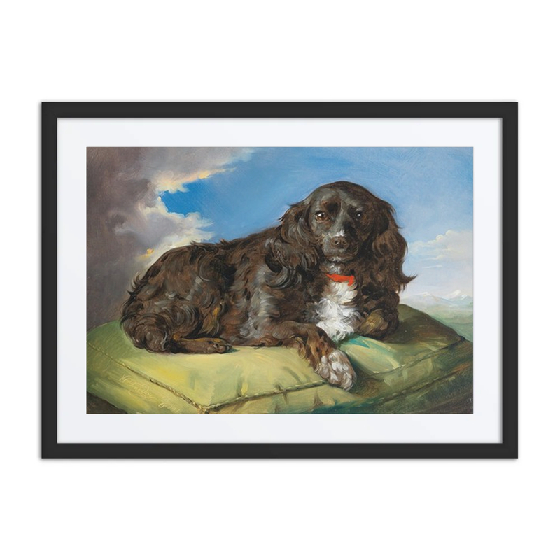 Cocker Spaniel on Green Cushion