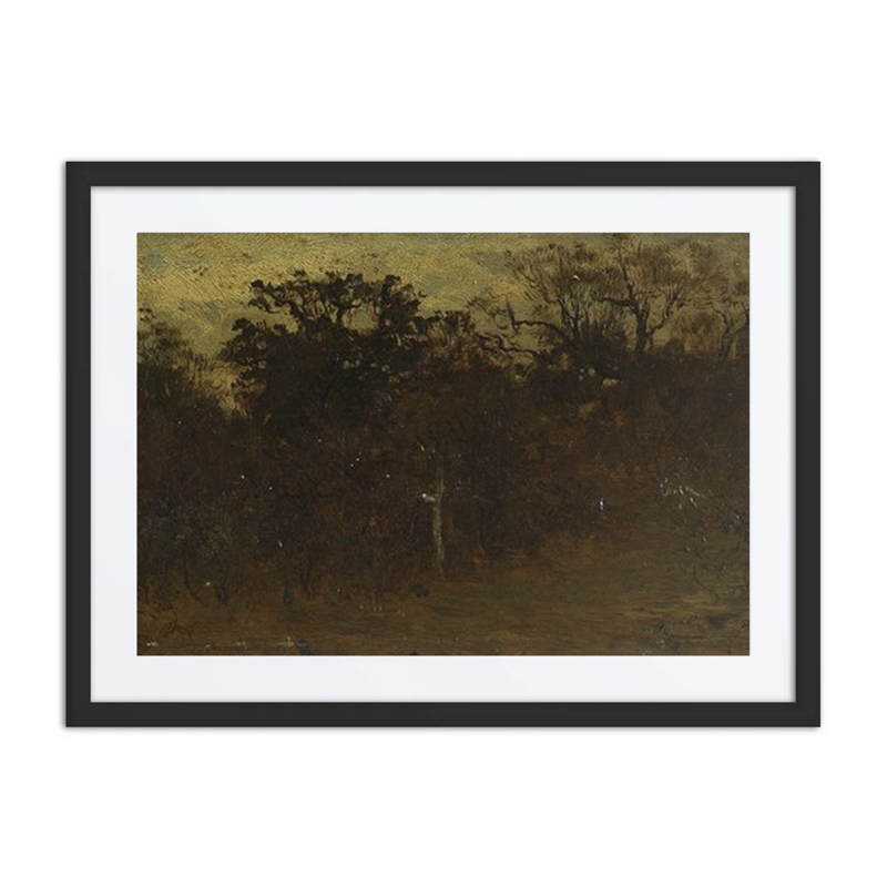 Coin de Forêt