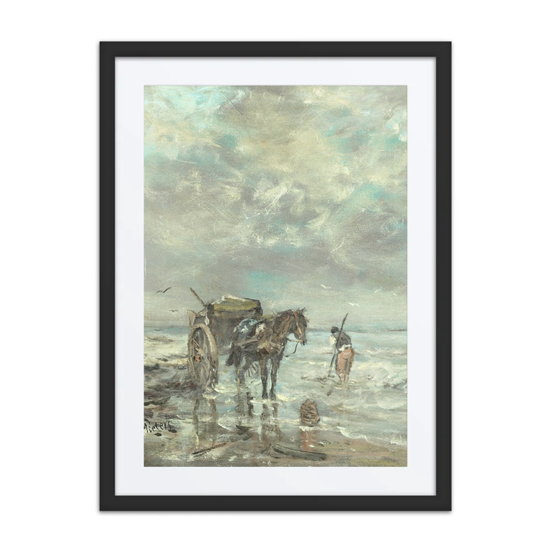Collecting Seaweed