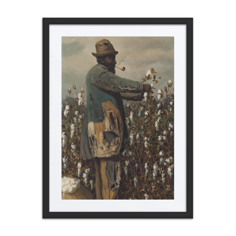 Cotton Picker