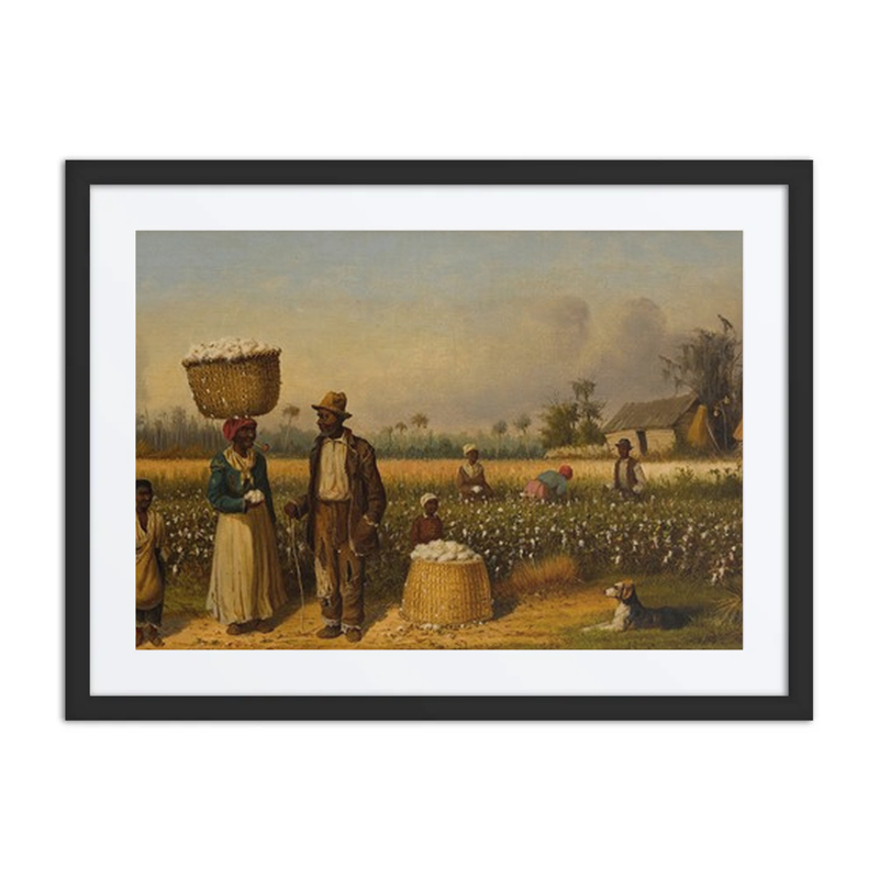 Cotton Pickers