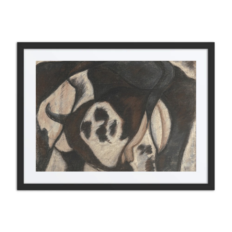Cow