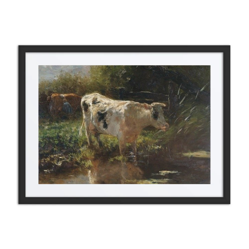 Cow Beside a Ditch