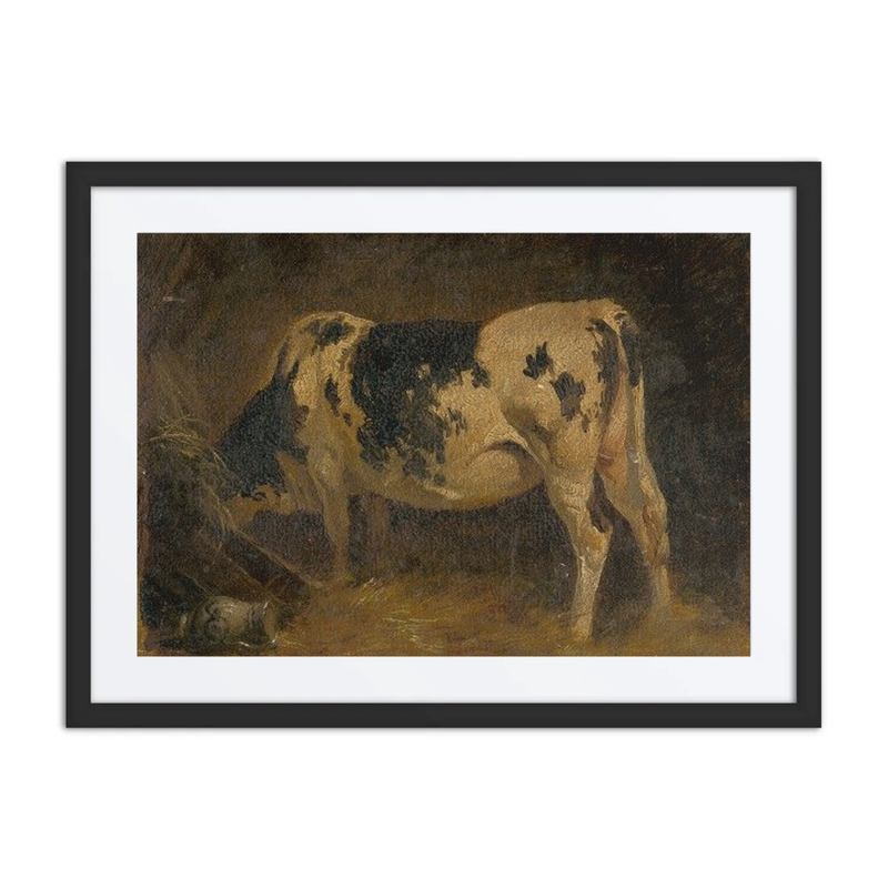 Cow in a Barn