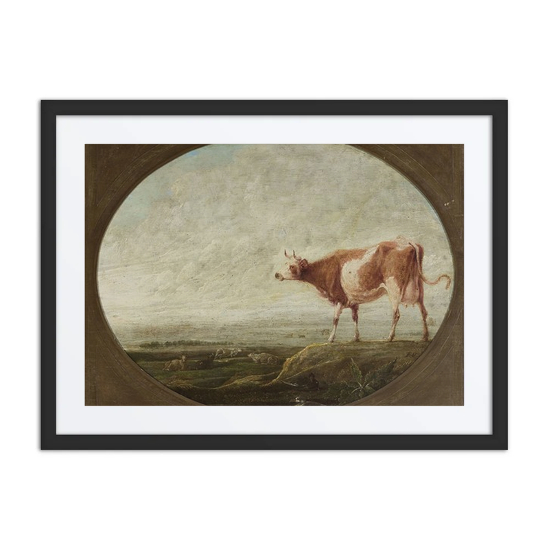 Cow in a Pasture