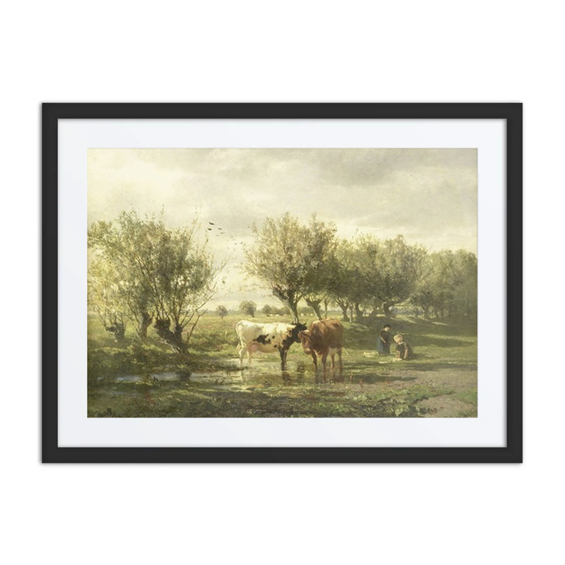 Cows at a Pond