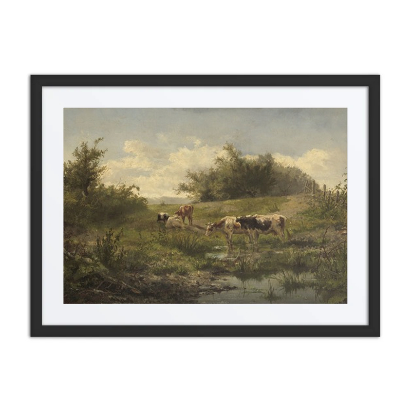 Cows at a Pond
