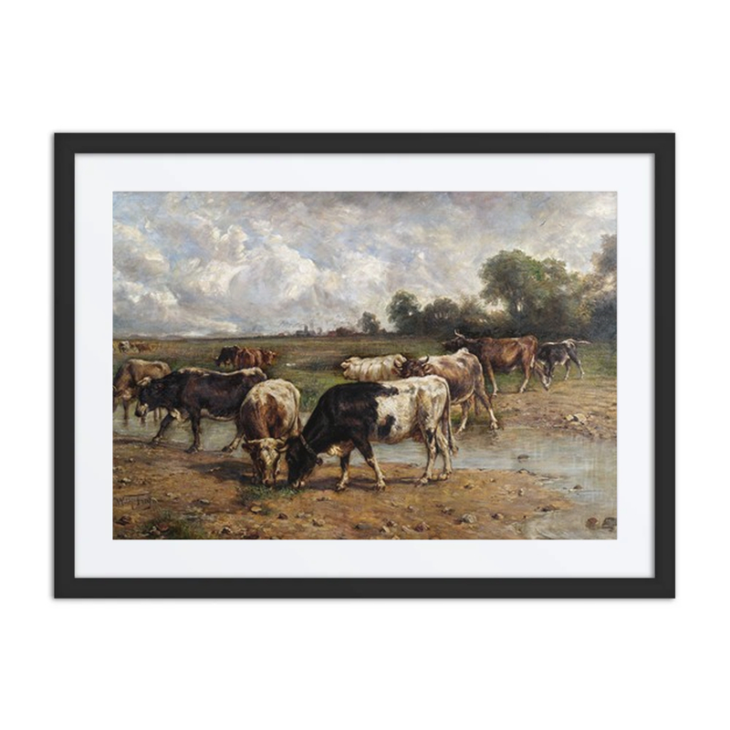 Cows at a Watering Hole
