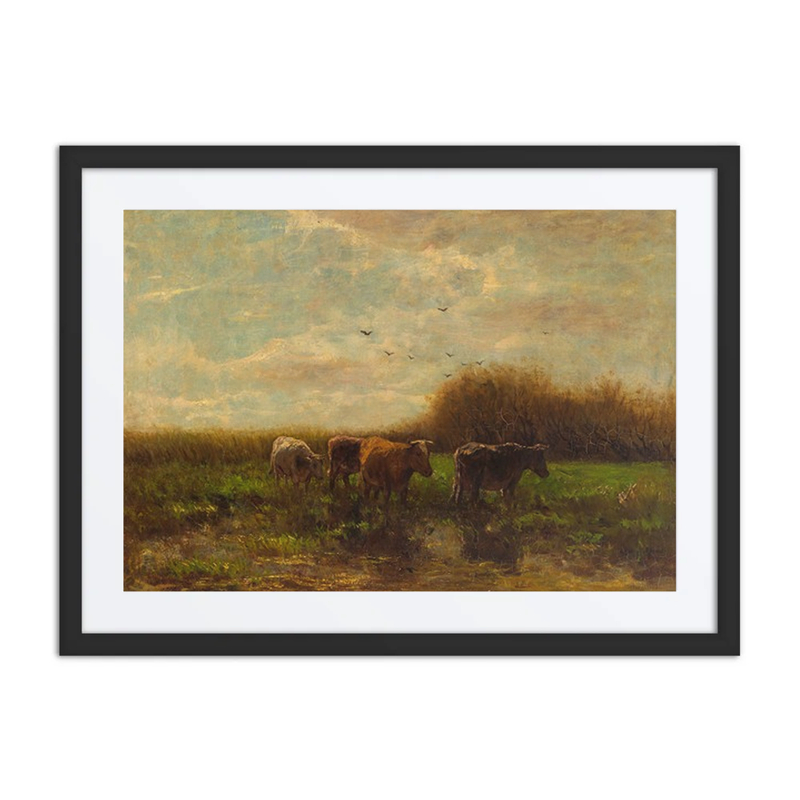 Cows at Evening