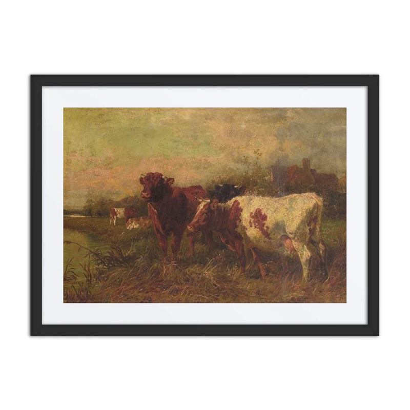 Cows at Pasture