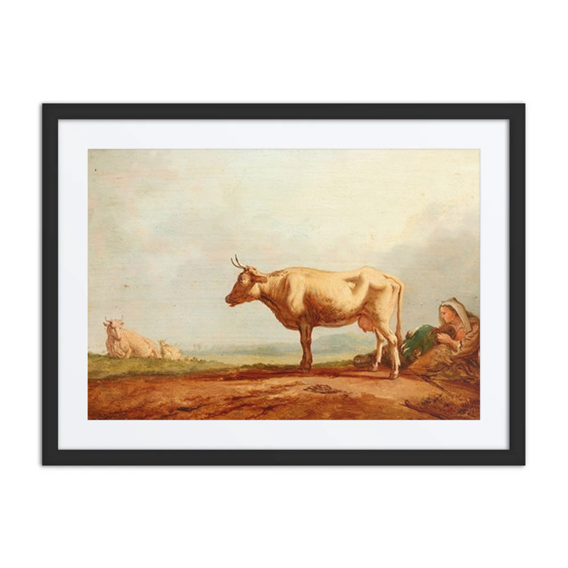 Cows at Pasture