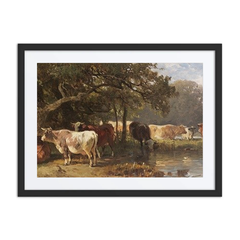 Cows by a Lake
