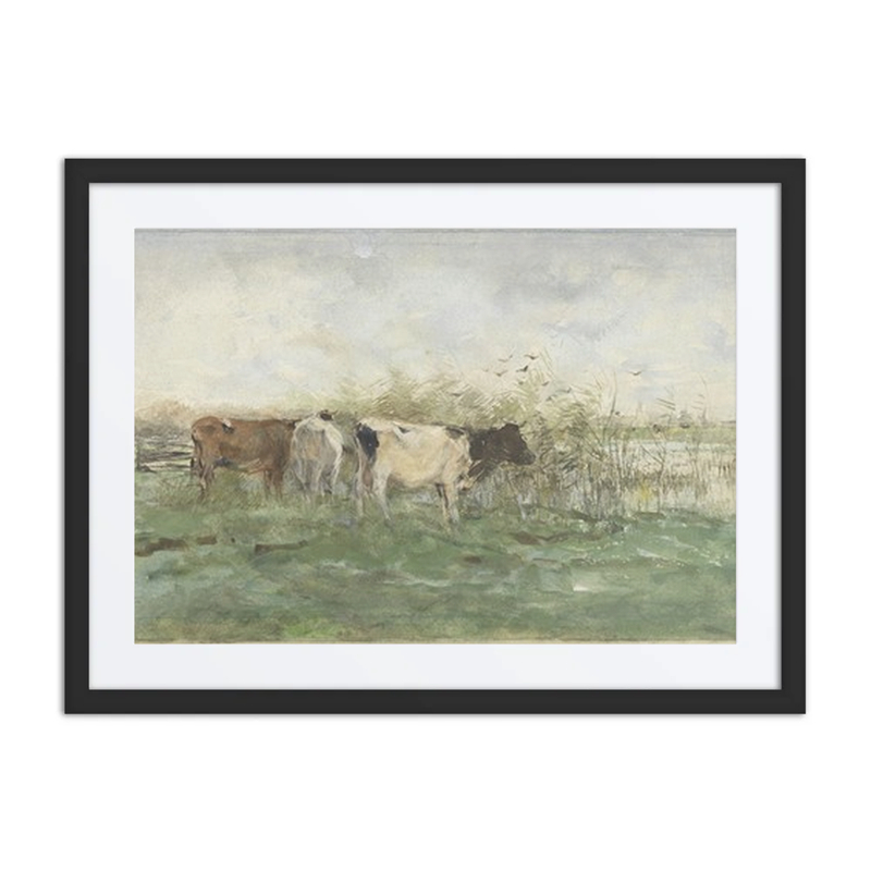 Cows by a Pond
