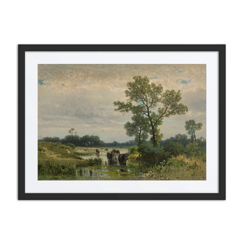 Cows Crossing a River