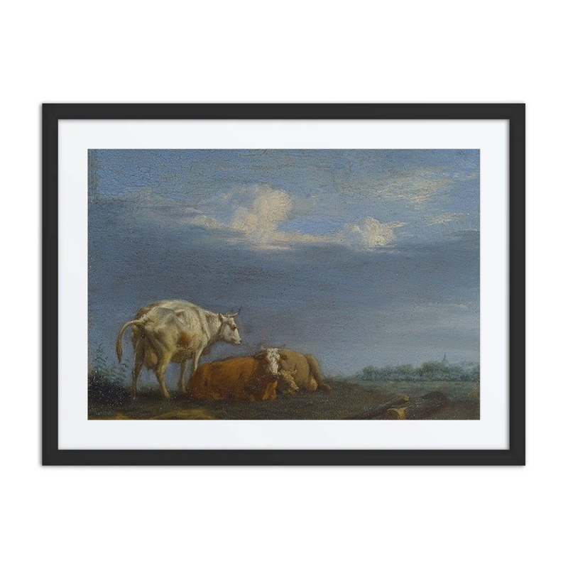 Cows in a Field