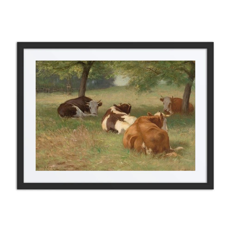 Cows in a Grassy Field