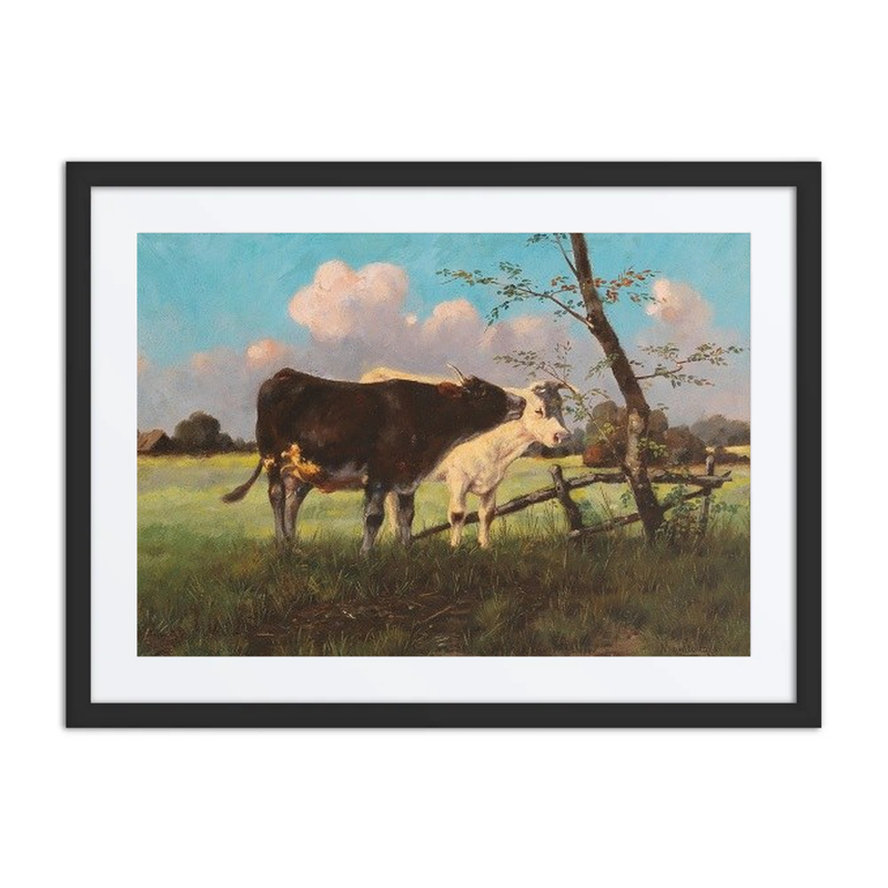 Cows in a Meadow