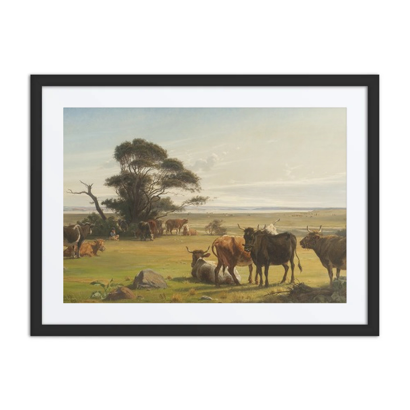 Cows in a Meadow