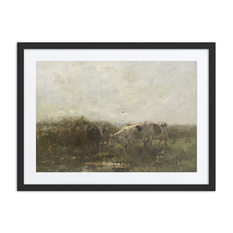 Cows in a Meadow