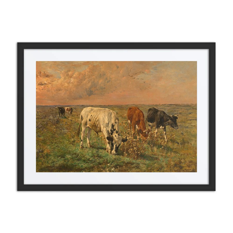 Cows in a Pasture