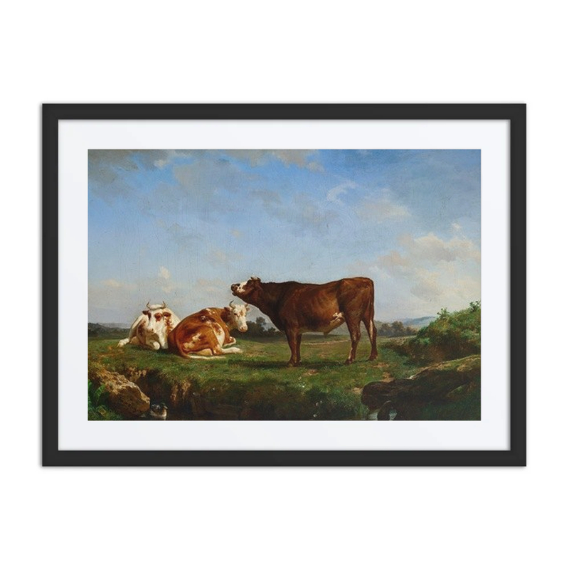 Cows in a Pasture