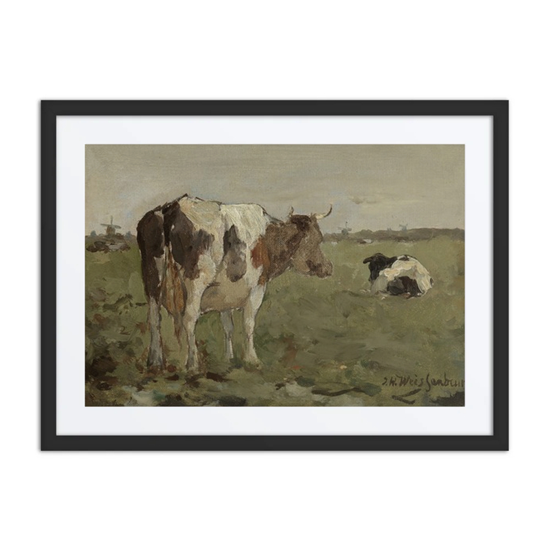 Cows in a Polder Meadow