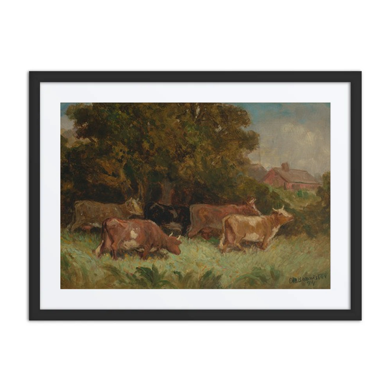 Cows in Pasture