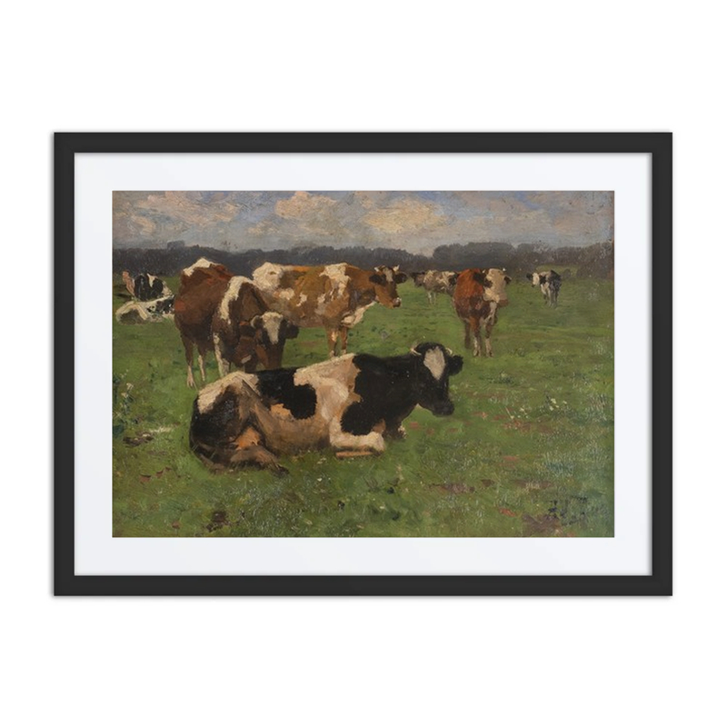 Cows on a Meadow