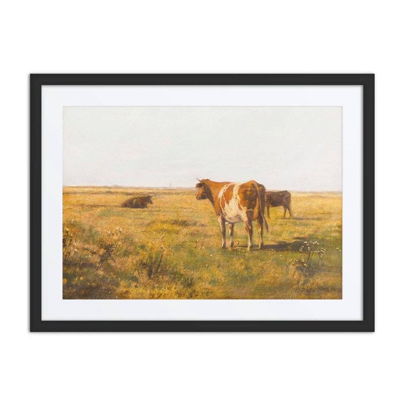 Cows on a Summer Meadow