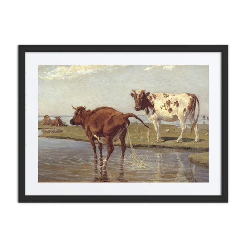 Cows on Saltholm